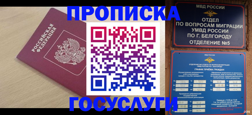 прописка законно в Сельцо