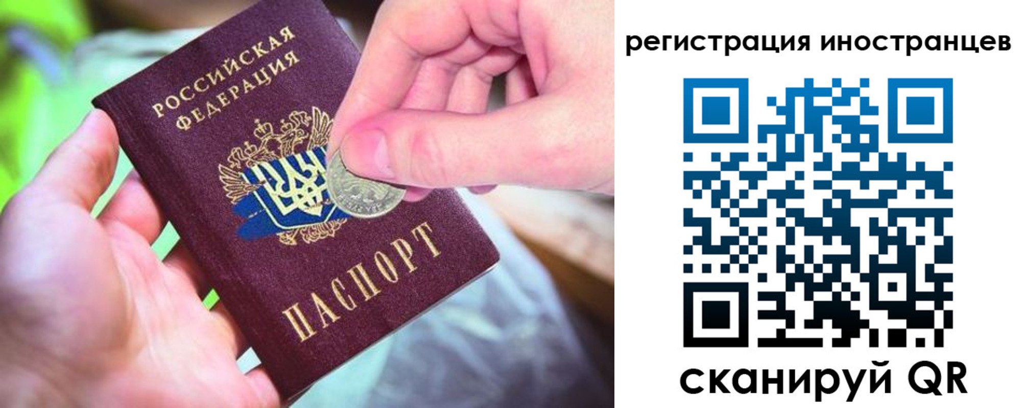 прописка для работы в Сельцо